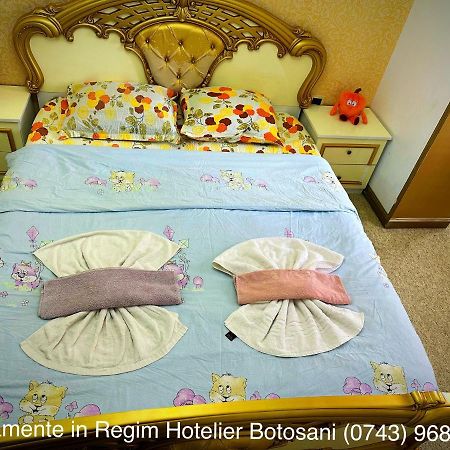Apartament De Lux Zona 0 Botosani 2 Camere Ngoại thất bức ảnh